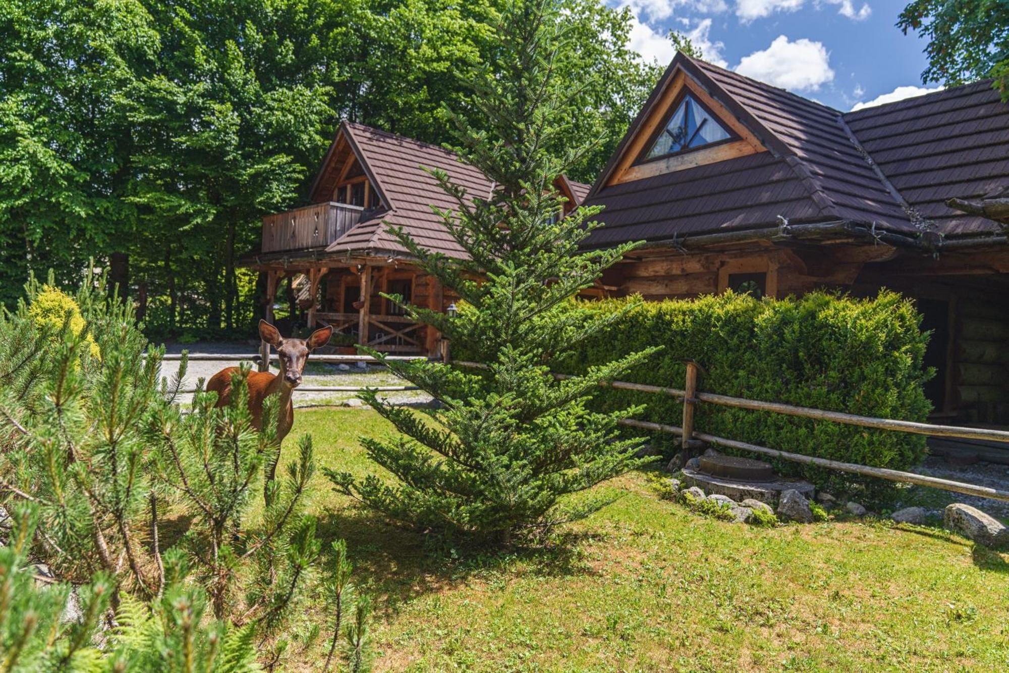 Mountain Shelter Zakopane Villa — Zdjęcia 1